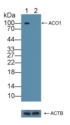 62200