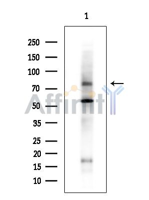 Валидация Affinity DF14742 - 10822