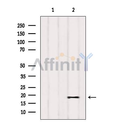 Валидация Affinity DF9744 - 22554