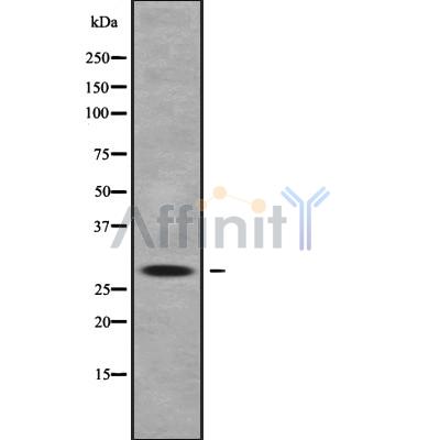 Валидация Affinity DF9722 - 22517