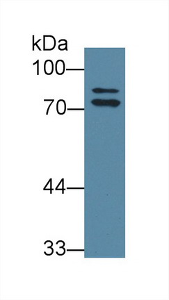 8770