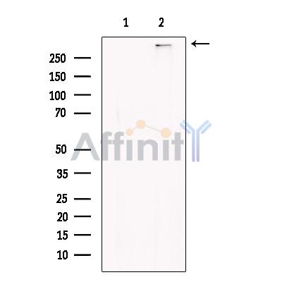 Валидация Affinity DF13258 - 8335