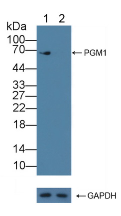 12234