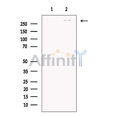Валидация Affinity DF13572 - 9034