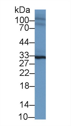10012