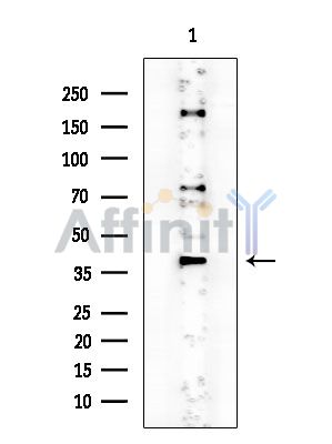 Валидация Affinity DF10264 - 5866