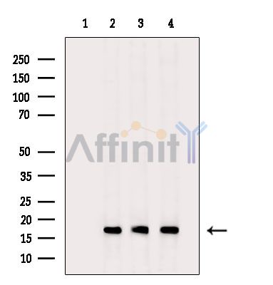 Валидация Affinity DF13925 - 9670