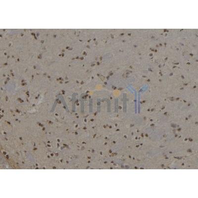 Валидация Affinity DF7789 - 19603