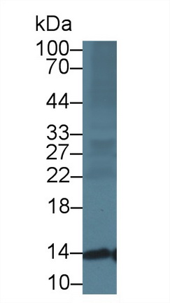 13604