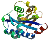 Lymphocyte Function Associated Antigen 1 Alpha (LFA1a)
