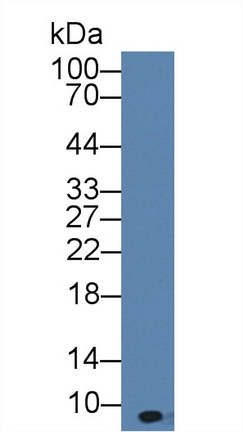 8409