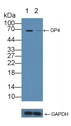 12137