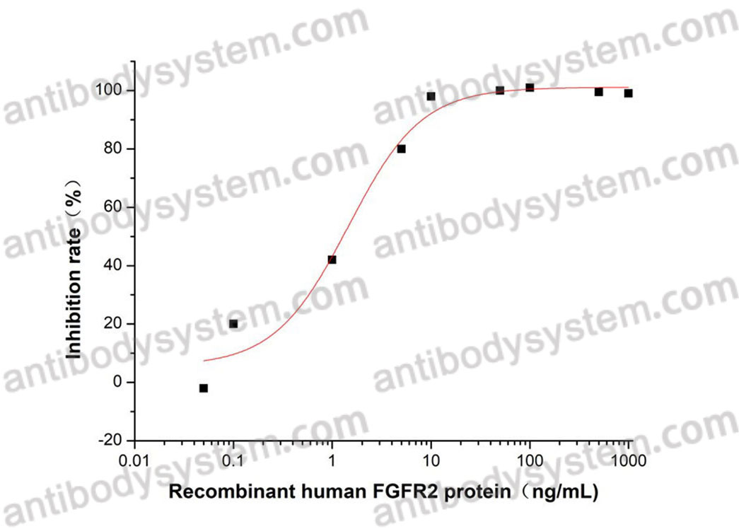 Валидация активности AntibodySystem AHD47901