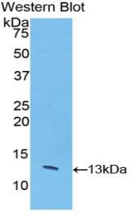 48279