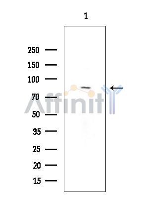 Валидация Affinity DF4478 - 16011
