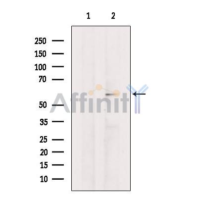 Валидация Affinity DF13272 - 8369