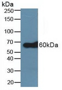 5025