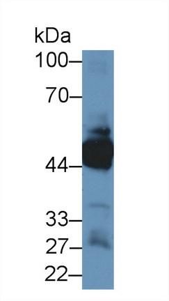 8821