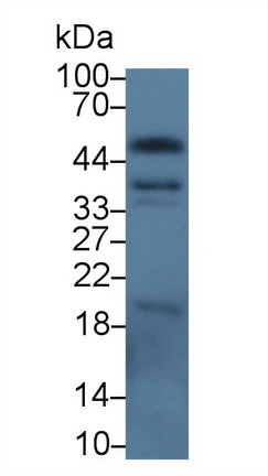 10167
