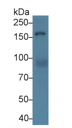 9367