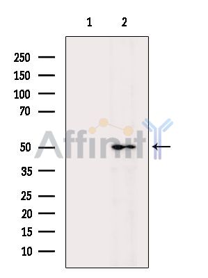 Валидация Affinity AF6708 - 3963