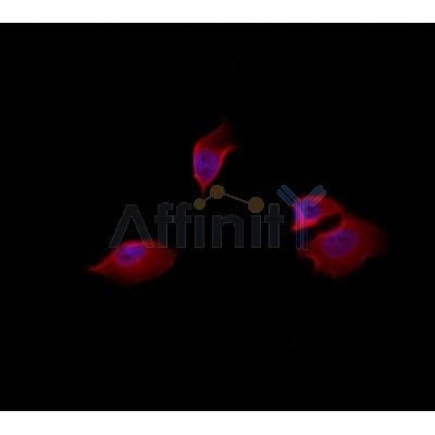 Валидация Affinity DF3537 - 14481