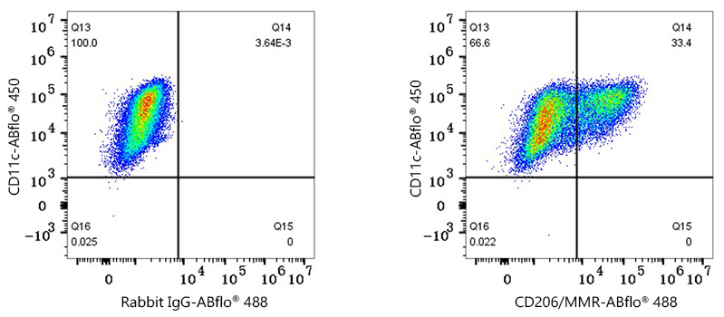 A28214, проточная цитометрия, незрелые дендритные клетки костного мозга C57BL/6 (21345)