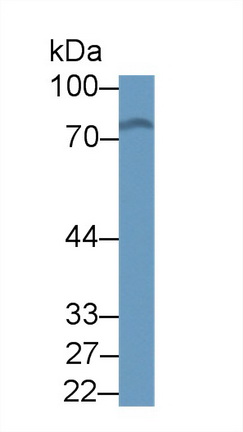 10331