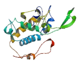 17-Alpha-Hydroxylase (S17aH)