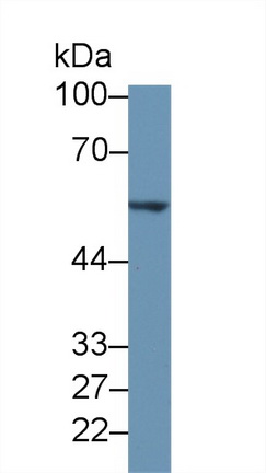 10347