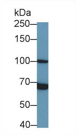 26759