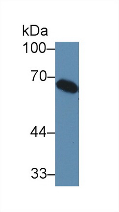 14109