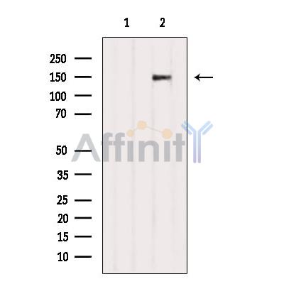 Валидация Affinity DF9449 - 22026