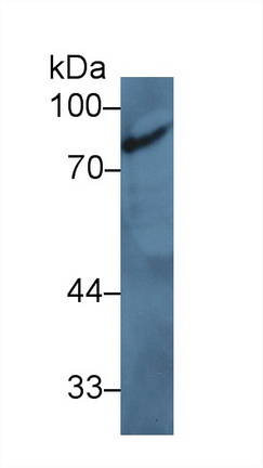 13937