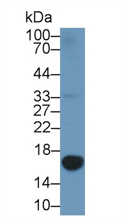 8403
