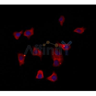 Валидация Affinity DF12137 - 6308