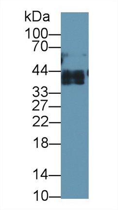 13410