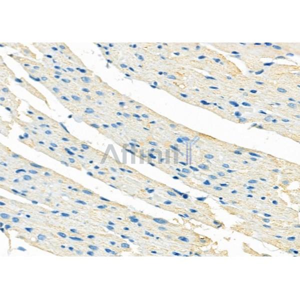 Валидация Affinity DF12326 - 6732