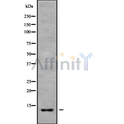Валидация Affinity DF10093 - 5586