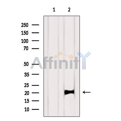 Валидация Affinity DF6324 - 17649