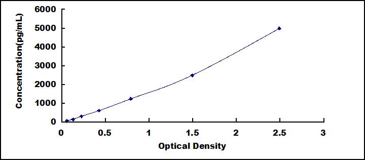 33707