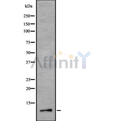 Валидация Affinity DF8288 - 20135