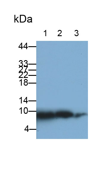 31396