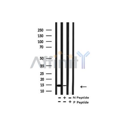 Валидация Affinity AF4366 - 2210