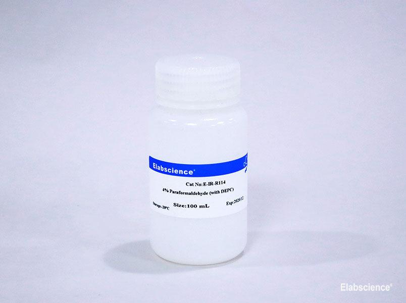 Фото Elabscience E-IR-R114