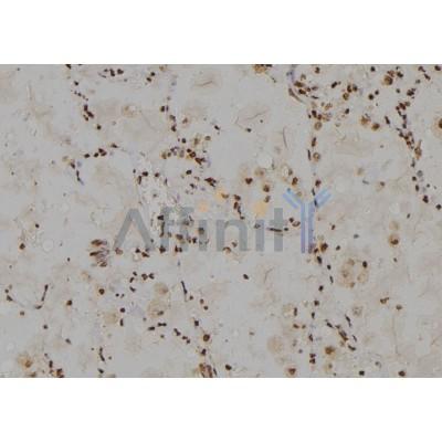 Валидация Affinity DF3707 - 14746