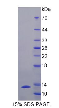 45700
