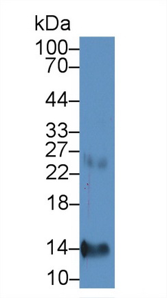 344