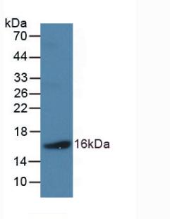 61659