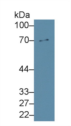38922